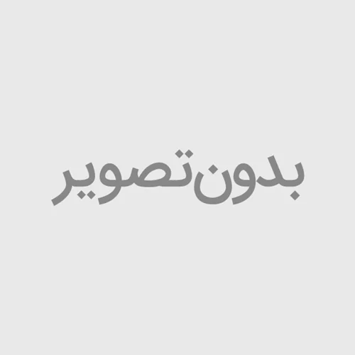 شیلد پلاستیکی دکمه ولوم شیائومی Xiaomi Redmi Note 9 Pro